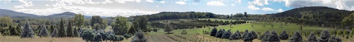 Panorama of Copake from Shagbark Tree Farm